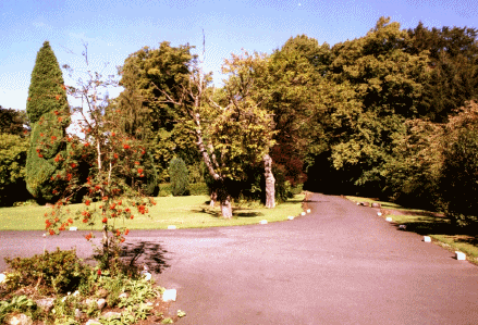 Front garden and drive from the house looking towards the road.