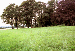 Click to Enlarge:  Footprint of former Cuttlehill House.