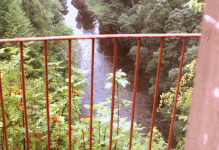 Click to Enlarge:  River from the drawingroom.